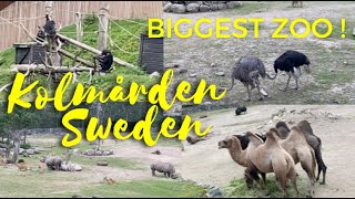 Biggest Zoo  Kolmården Sweden  Wildlife park 2023 [upl. by Hakeem]