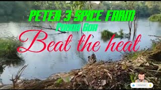 Peter 3 Spice Farm Khandepar Ponda Goa lovelyplace to handout in nature spice farm beattheheat [upl. by Eberto]