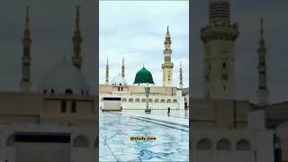 Ya Nabi Salam Alaika  prophetmuhammad ytshorts [upl. by Naitsabes259]