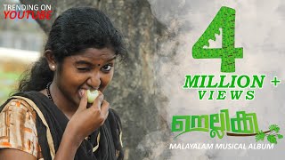 NELLIKKAMALAYALAM MUSICAL ALBUM 2019A GOOSEBERRY LOVE [upl. by Caressa800]