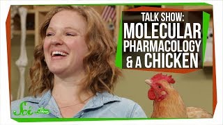 Neurology Pharmacology amp Poultry  SciShow Talk Show [upl. by Nauqram]