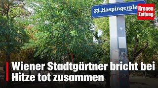 Wiener Stadtgärtner bricht bei Hitze tot zusammen  kronetv NEWS [upl. by Issej]