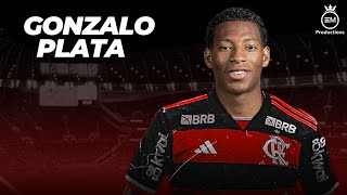 Gonzalo Plata ► Bem Vindo Ao Flamengo ● Crazy Skills Goals amp Assists  2024 HD [upl. by Kunkle]