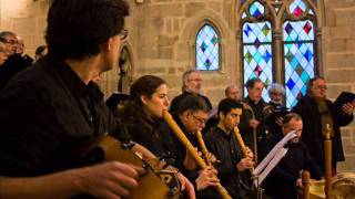 Caballero de francia  Organistrum Ensemble Barcelona [upl. by Elatnahs983]