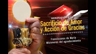 La Santa Misa de hoy Miércoles de la octava de Pascua  12042023  Pbro Santiago Martín FM [upl. by Ayitahs915]