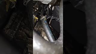 W212 oil leak above transmission part 2 automobile mechanic [upl. by Onitnatsnoc]