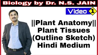 Plant Tissues Outline Sketch Plant Anatomy  Hindi Medium [upl. by Bambi]