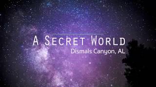 A Secret World Alabamas Dismals Canyon [upl. by Riek]