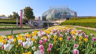 Welcome to Phipps Conservatory and Botanical Gardens [upl. by Alle983]