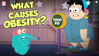 What Causes Obesity  Overweight  The Dr Binocs Show  Peekaboo Kidz [upl. by Salaidh354]