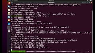 How to Combine Multiple Disks as One by using MergerFS  Ubuntu 2004 LTS [upl. by Ado]