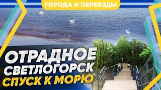 Отрадное Калининградская область Спуск к морю [upl. by Einaej]