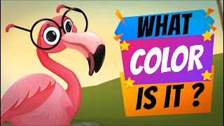 😀 What Color is it Song 🌻 Learn 11 Colors 🇬🇧 Learn English Kids [upl. by Anemix525]