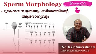 Semen Analysis Part 4  Poor Sperm Morphology  Teratozoospermia  Causes  Treatment  Susrutha IVF [upl. by Enale]