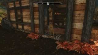 Skyrim Mod  Doge Pet [upl. by Isyak]