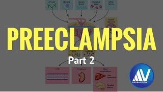 Preeclampsia Part II Pathophysiology [upl. by Schargel]