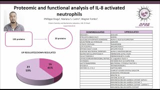 Proteomic and functional analysis of IL8 activated neutrophils [upl. by Ahsoym]