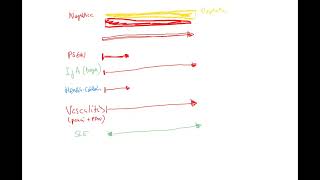 Nephrology 14b recap of nephroticnephritic spectrum SLE PSGN IgA vasculitis amyloidosis DM [upl. by Hobbs913]