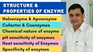 Structure and properties of enzymes  Cofactors and coenzymes [upl. by Osbert]