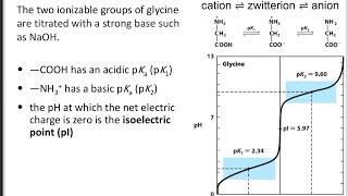 Titration curve of amino acid biochemistry [upl. by Tobe314]