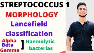 Streptococcus microbiology Lancefield classification of Streptococcus Camp Test [upl. by Bohlin]