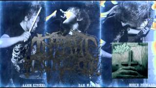 Infant Annihilator  Bathed In Placenta 2012 HQ [upl. by Yelrah642]