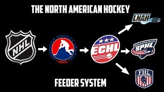 The North American Professional Hockey Feeder System [upl. by Naahs]