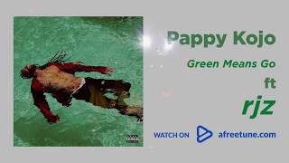 Pappy Kojo  Green Means Go Official Lyric Video Ft RJZ [upl. by Clementius117]