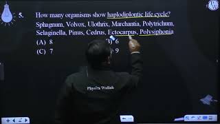 How many organisms show haplodiplontic life cycle Sphagnum Volvox Ulothrix Marchantia Polyt [upl. by Viva]