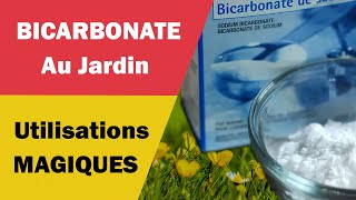 Les Utilisations Magiques du Bicarbonate au Jardin [upl. by Llenyl444]