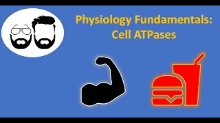 Physiology Fundamentals Cell ATPases [upl. by Sibylle]