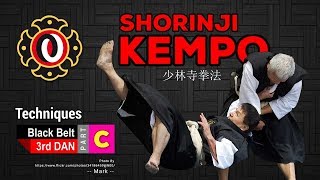 Techniques of Shorinji Kempo Black Belt 3rd DAN part C [upl. by Aidnis]