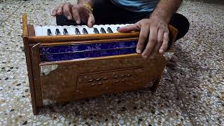 Dulcetina Harmonium 245 Octave  32 Keys [upl. by Donoghue]