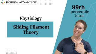 Physiology Sliding Filament Theory  MCAT Crash Course [upl. by Killoran]