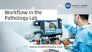 Workflow in a pathology lab from sample to diagnosis [upl. by Novelia]