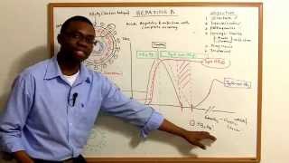 Hepatitis B Infections Pathophysiology made simple [upl. by Mollie]