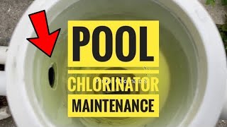 Pool Chlorinator Maintenance [upl. by Maurie]