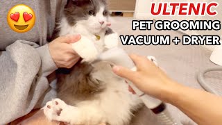 Easy Cat Grooming Vacuum  Hair Dryer 😍【Review105】 [upl. by Seften]