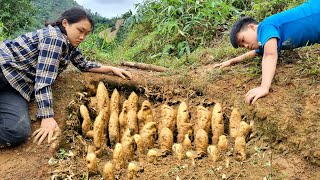 A Lucky Day for the Mute Boy and Girl  Harvesting Strange Potatoes to Sell at the Market l Cooking [upl. by Asreht995]