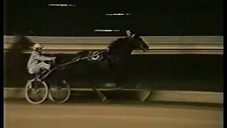 1982 Roosevelt Raceway  International Trot Ideal du Gazeau [upl. by Claudie]