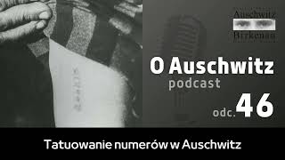 quotO Auschwitzquot odc 46 Tatuowanie numerów w Auschwitz [upl. by Jorge]