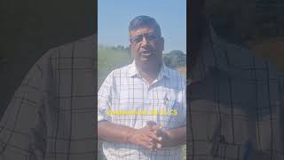 सरसों में pendimethalin 387 CS का छिड़काव agriculture farming [upl. by Gnilrac]