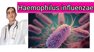 Haemophilus influenzae [upl. by Helas]