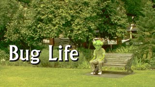 Cool Sounds  Bug Life Official Music Video [upl. by Enayr801]