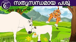 സത്യസന്ധമായ പശു  Malayalam Fairy tales  malayalam moral stories for kids [upl. by Etnor]