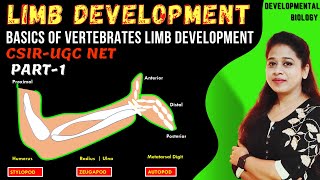 Limb Development Part1  Basics of Tetrapod Limb Development  CSIRNETJRF [upl. by Terry]