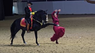 The Spanish Dance at the Iberian Horse Spectacular [upl. by Arahahs348]