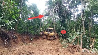 Almost Road Opening in Mystery Forest D6R XL Bulldozer Overwhelmed [upl. by Gnanmas]