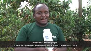 Yara fertilizer coffee testimonial in Ruiru [upl. by Aynwat979]