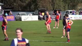 LVFNL RD18 2024 Inglewood vs Marong [upl. by Elva80]